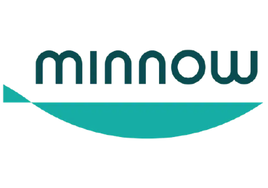 Minnow